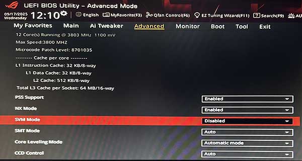 BIOS SVM